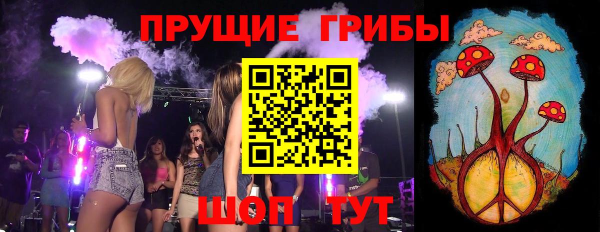 Псилоцибиновые грибы Magic Shrooms  Вход с VPN  Серпухов  Галлюциногенные грибы Psilocybe 
